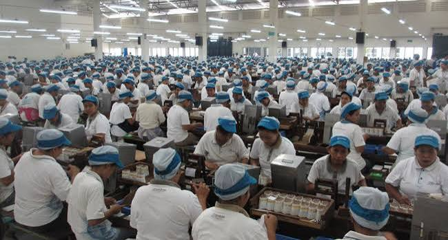 Apindo Nilai UU Pelindungan Ketenagakerjaan Tak Hanya Mengakomodasi Tuntutan Pekerja